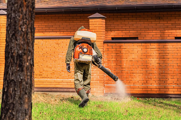 Trusted Termite Control service in Eagleton Village, TN - Nex Pest Control